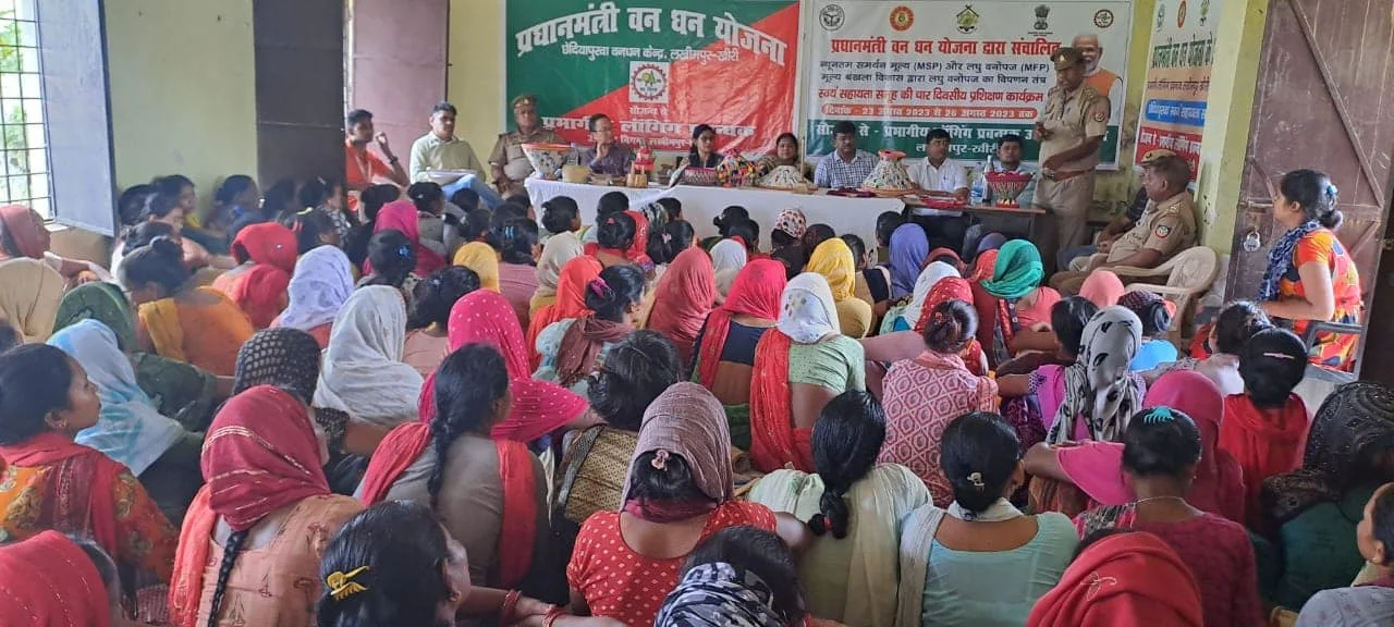 Capacity building and rehabilitation